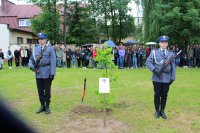 Posterunek honorowy przy tablicy oraz przy dębie pamięci